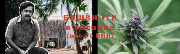 хмурый Аркадак