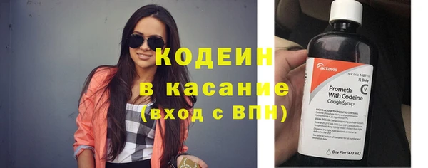 хмурый Аркадак