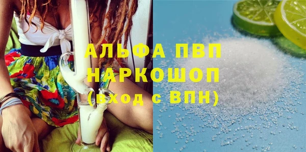 хмурый Аркадак