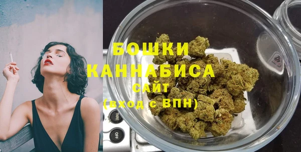 сатива Арсеньев