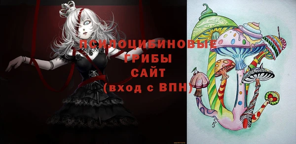 хмурый Аркадак