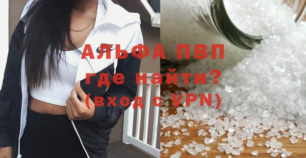 хмурый Аркадак