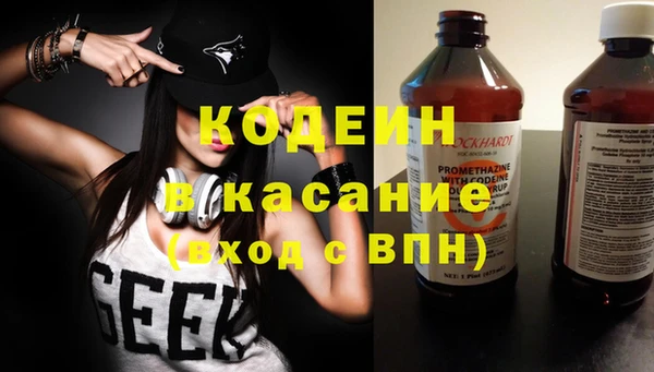 хмурый Аркадак